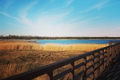 Molo Władysławowo